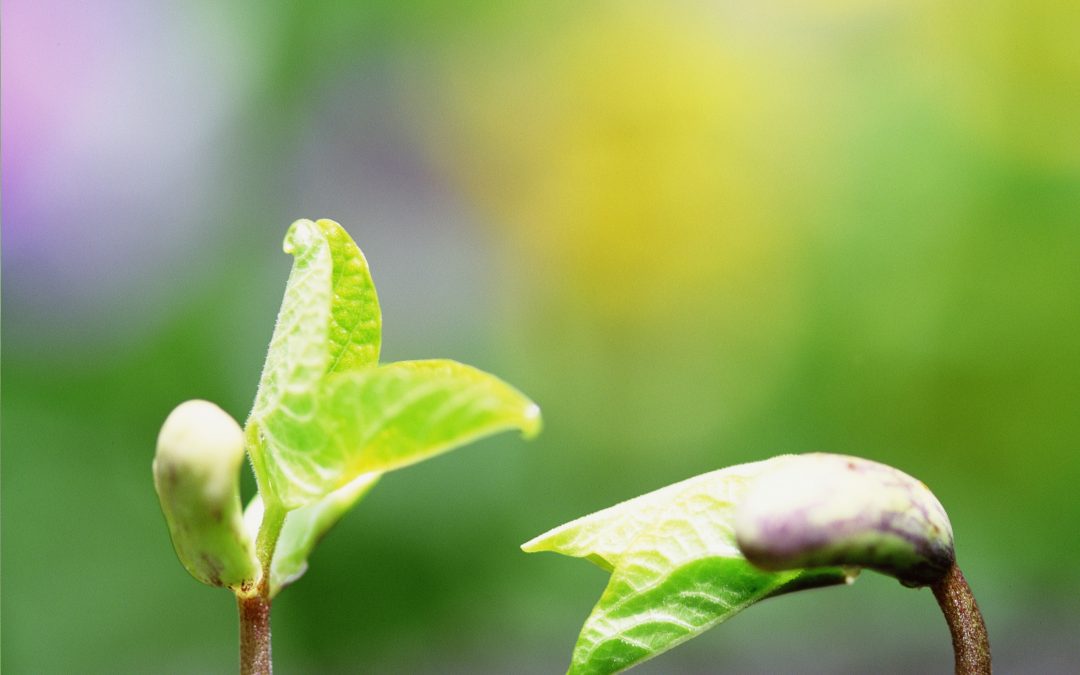 玉琪的功课分享